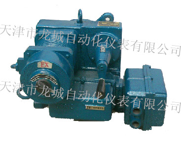 DKJ-310BM������늄�(d��ng)��(zh��)�ЙC(j��)��(g��u)